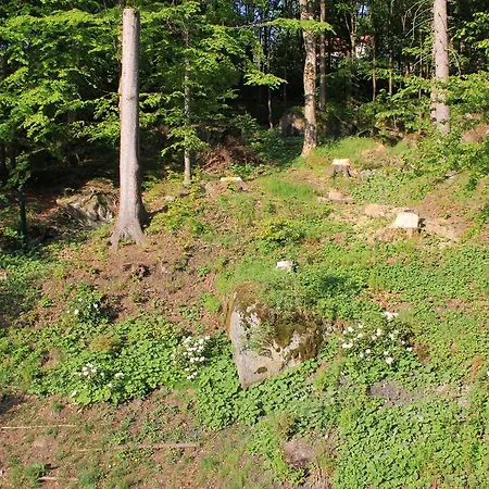 Ašika 木屋 约瑟夫杜尔