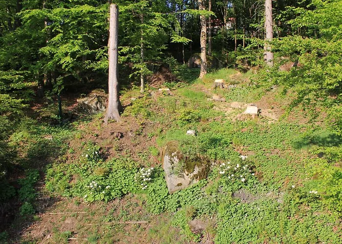 Ašika 木屋 约瑟夫杜尔